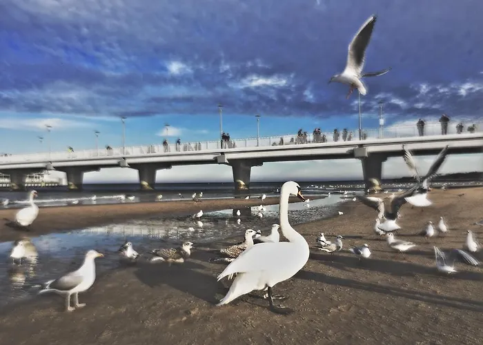 Maritimo Port Апартаменты Колобжег